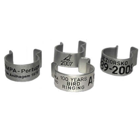 bird rings