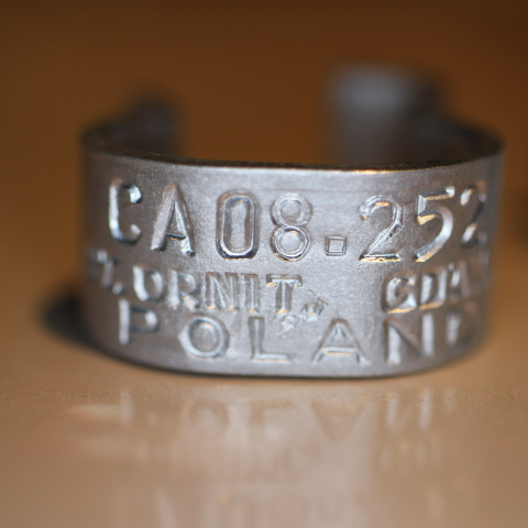 bird ring