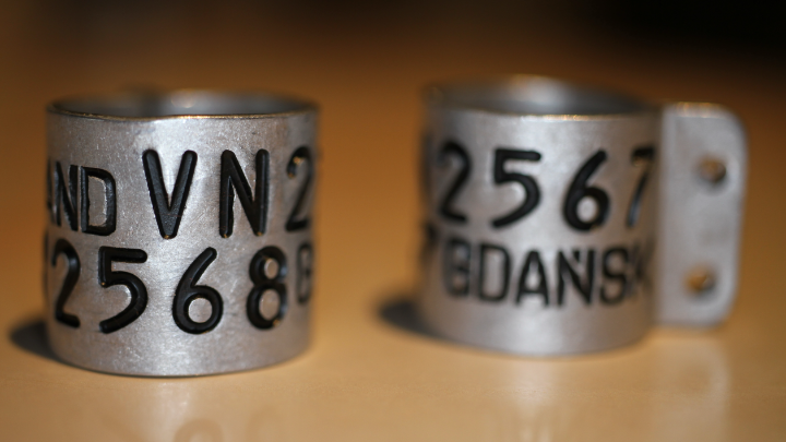 round rings with lock